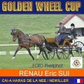 RENAUD ERIC SUI 2nd Place Dressage Golden Wheel CUP Single Driving CAI-A Haras De La Nee France, 45,70 Points